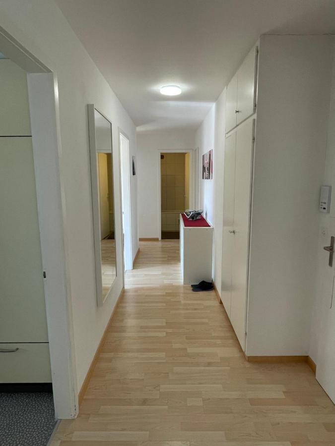 3-Room Apartment For Business Travelers & Families, Free Wifi & Tv With 70 Countries, Dazn, Sky, Netflix & Disney Wynau 외부 사진