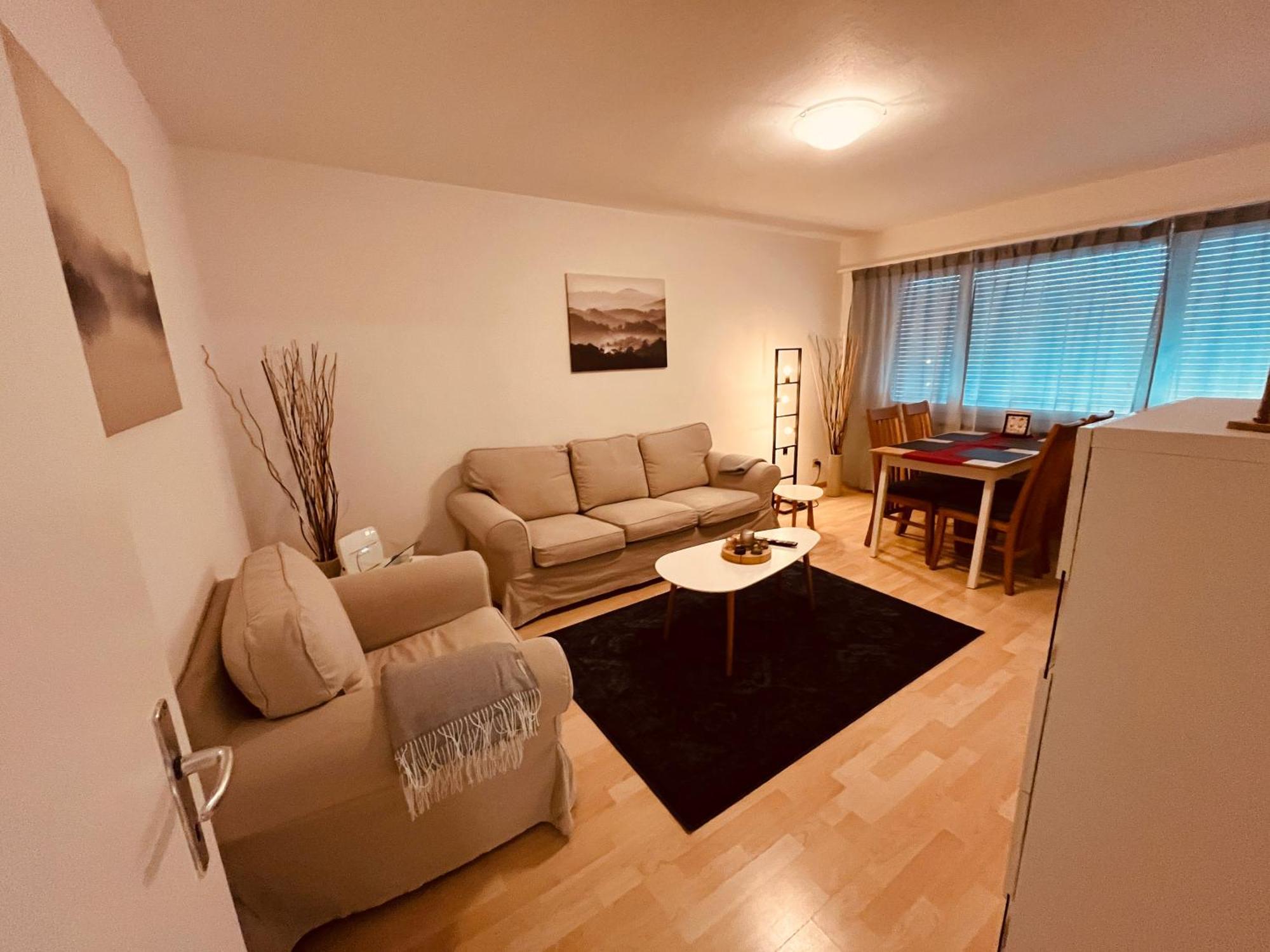 3-Room Apartment For Business Travelers & Families, Free Wifi & Tv With 70 Countries, Dazn, Sky, Netflix & Disney Wynau 외부 사진