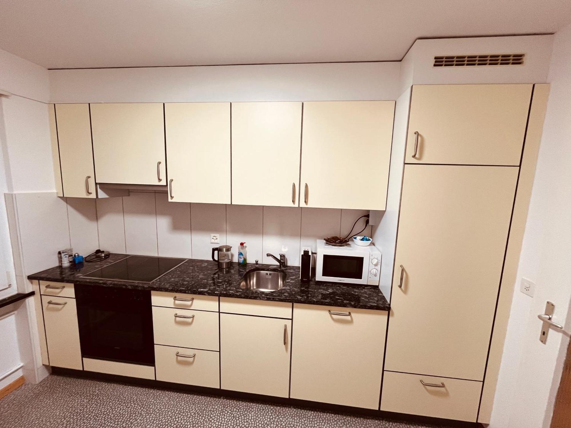 3-Room Apartment For Business Travelers & Families, Free Wifi & Tv With 70 Countries, Dazn, Sky, Netflix & Disney Wynau 외부 사진